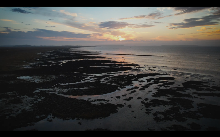 Screenshot 2026-04-21 090058